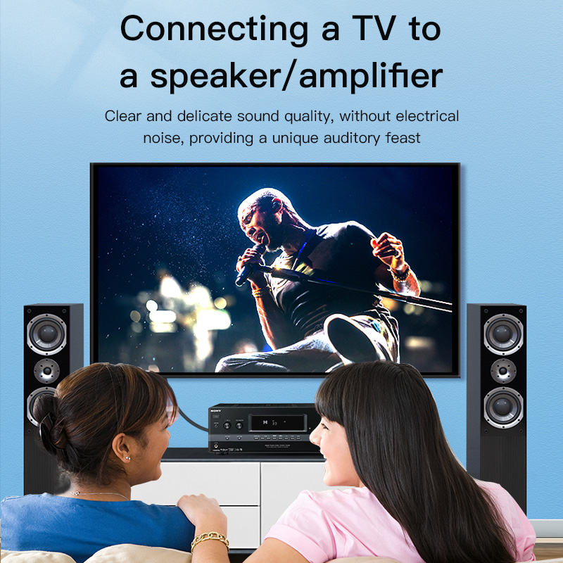 Cable RCA CHOSEAL, Cable de Au - Home Cinema Tv reseña y precio